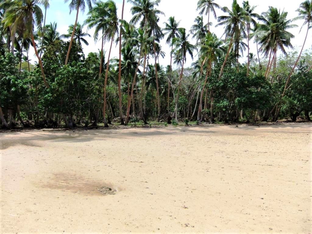 Beachfront Savusavu 3.1 M SouthPacificRealEstate